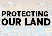 Floyd Kakekapetum Protecting Our Land painting link image