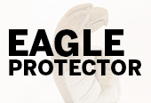 Loreene Henry Eagle Protector sculpture link image