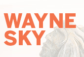Wayne Sky artist profile link image