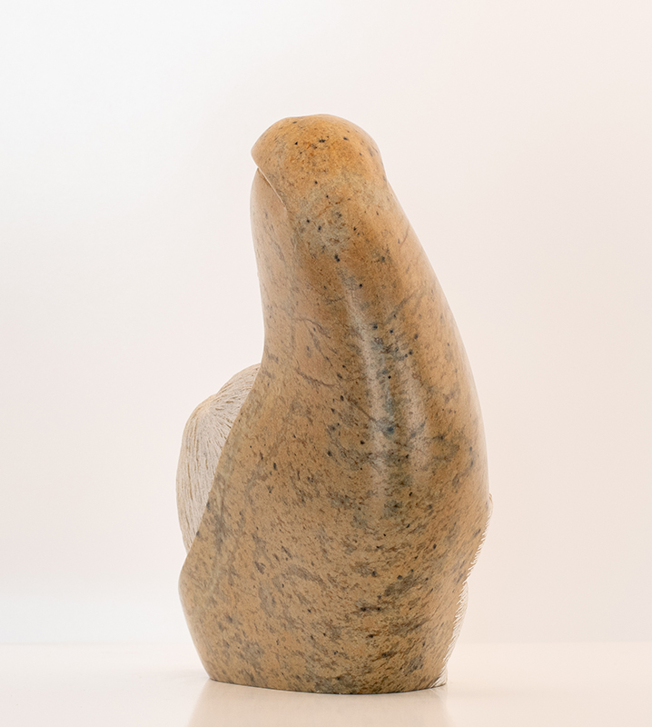 Loreene Henry "Eagle Protector"