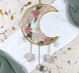 The Starfish Studio Co: Aiming for the Moon