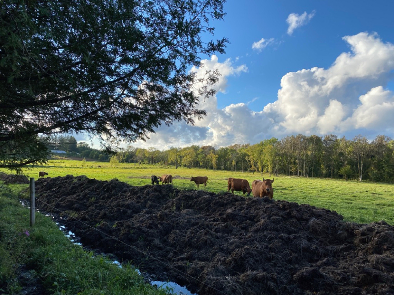 Copy of 6487B1A8-CA77-49A7-A787-8BA4DC3CD04E_1_105_c